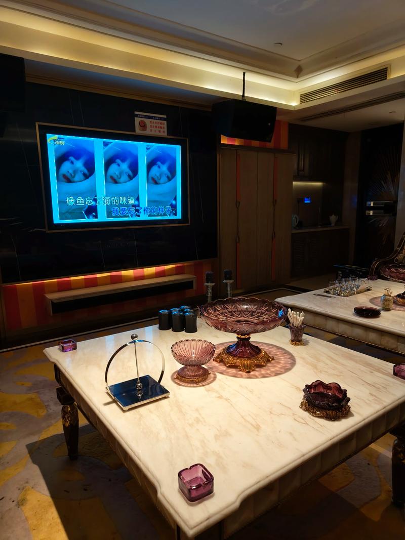 岳阳商务ktv尊享高端商务ktv体验-华容县ktv预定